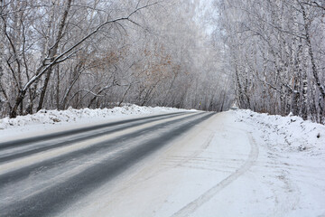 Snow-covered road in a snow-covered pine forest