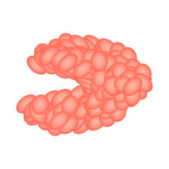 Submandibular salivary gland. The structure of the submandibular salivary gland. Vector illustration on isolated background