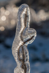 Ice rain series: ice-covered stem as statue
