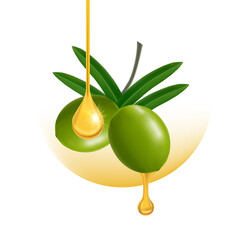 The fresh Olive oil elegant vector illustration.