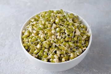 Bean sprouts in a ceramic bowl 