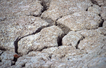 Cracked parched ground with crevices