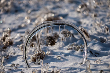 Ice rain series: ice-covered twig arc
