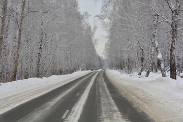 Fototapeta na wymiar Snow-covered road in a pine forest