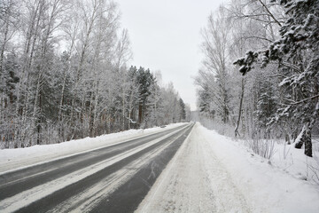 Snow-covered road in a pine forest