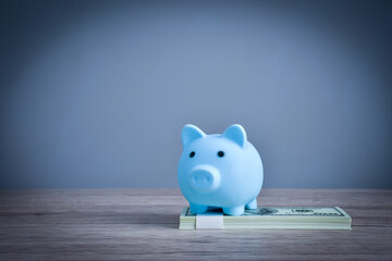 Fototapeta na wymiar A blue saving piggy on a dollar bill to show wealth through saving money.