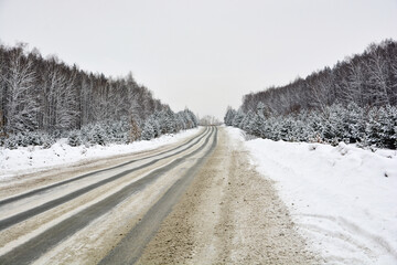 Obraz na płótnie Canvas Snow-covered road in a pine forest