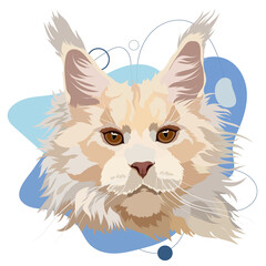 Maine Coon cat vector illustration on a colored background, portrait. Light color, head