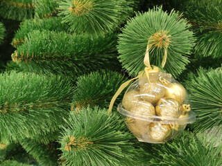Fur tree branches, New Year tree close view