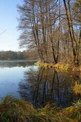 Impressionen am romantischen Waldsee in der Lausitz