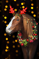 Red horse portrait with long mane christmas decoration on lights  bokeh background