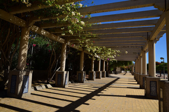 Schattenplatz an der Promenade