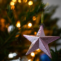 The pink star of the Christmas tree
