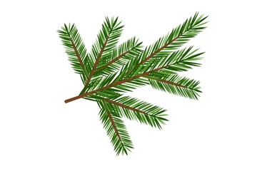 Spruce branch without decorations on a white background for decorative work and printing