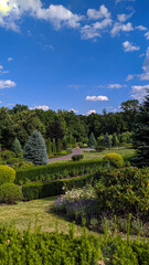 garden in the park