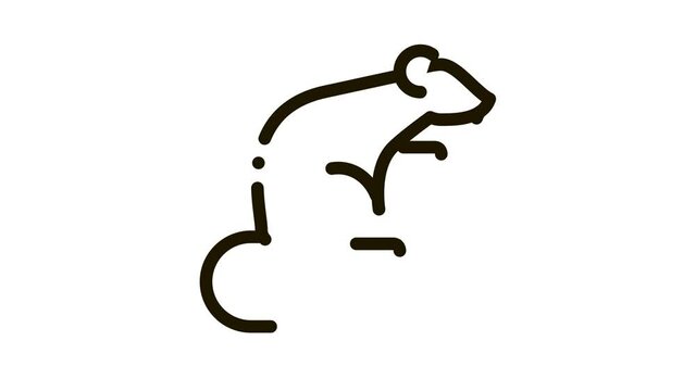 Rat Icon Animation. black Rat animated icon on white background