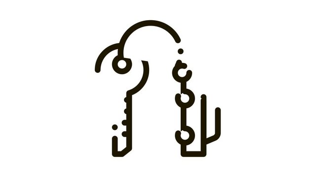 Car Keys Icon Animation. black Car Keys animated icon on white background