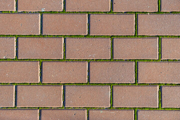 Red brick wall with moss texture background. Old road paved with the cobblestones or concrete brick. Pavement pattern. Green life breaks through from paver brick floor. Environment, ecology concept.