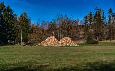 Holzhaufen vor einem Waldstück