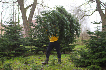 Ein Mann f&auml;llt einen Weihnachtsbaum
