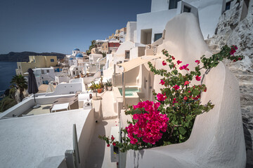 Naklejka premium Oia town on Thira. Santorini island with colorful volcanic cliffs and deep blue sea aerial view