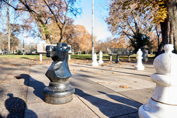 Chess black figure in stuttgart park with sun