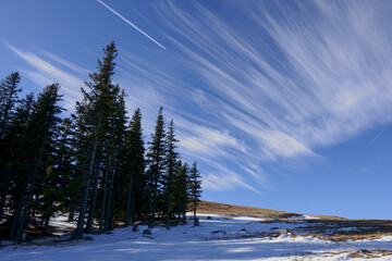 fine clouds on the sky with pinetrees and snow