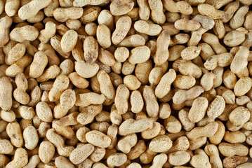 Peanuts in shell close up. Texture of nuts.