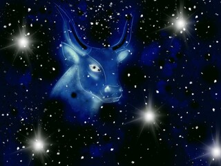Fototapeta premium constellation bull