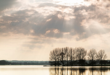 Backlit Trees / An image of backlit trees on a spring day from Rutland Water, Rutland, England, UK.