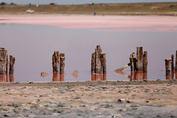 A fantastic pink salt lake with salt crystals on wooden pillars on sunny day, Kuyalnik Liman in Ukraine, Odessa at Summer. Copy space.