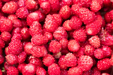 Lot of forest appetizing and tasty strawberries as pattern. Summer season berries