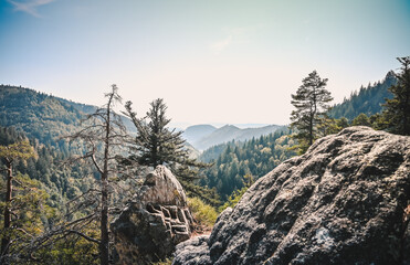 Beautiful landscape panorama showing coniferous trees, rocks and the beautiful Black Forest of Germany under a clear blue sky in the background.