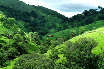 Fototapeta na wymiar curral no meio da mata verde de região montanhosa de Esmeraldas 