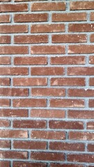 muro de tijolo vermelho