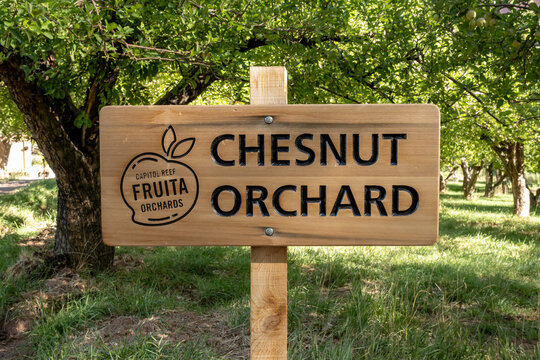 Close up of chestnut orchard sign