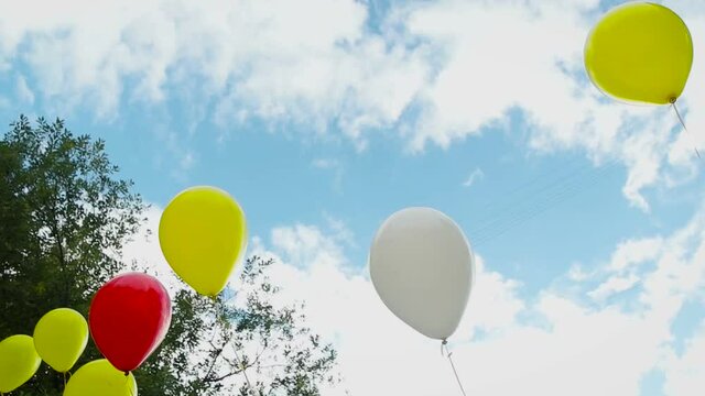 Beautiful colourful ballons on summer sky at the background. Media. Love in air summer, wedding, birthday, holiday.