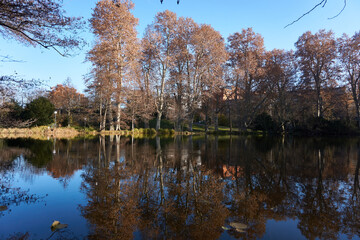 Fototapeta na wymiar A lake with mirroring trees in the water uring the autumn