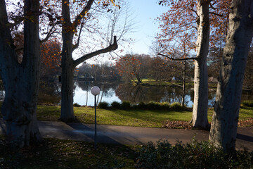 Path in the park next to thelake along a amp and between trees