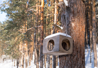 Bird feeder in the winter forest. Caring for and helping birds in the cold season