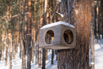 Bird feeder in the winter forest. Caring for and helping birds in the cold season