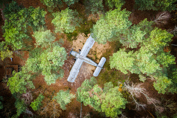Plane in the woods