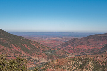 Roots of mountain Atlas. On the road to the summit.