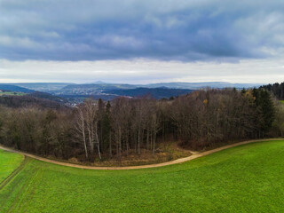 Aerial view of a dirt road separating fields and forest in the background overlooking the swiss alps.