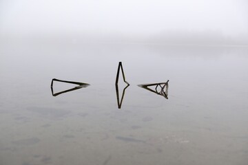 Moody misty landscape of lake with amazing effect of reflection of grasses immersed in calm surface...