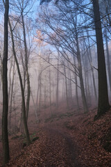 Nebellandschaften an der Bergstra&szlig;e.