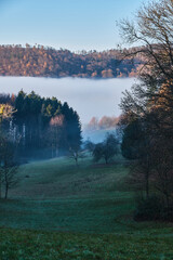 Nebellandschaften an der Bergstraße.