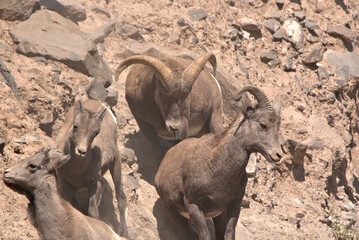 San Juan Mountains in southern Colorado