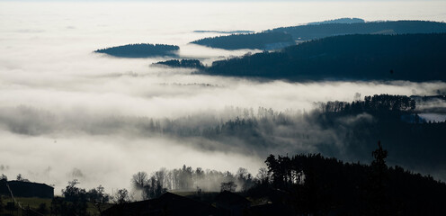 Aussicht auf ein Nebelmeer in einer hügeligen Landschaft mit Bäumen, Nebel im Wald, oberhalb der Nebelgrenze
