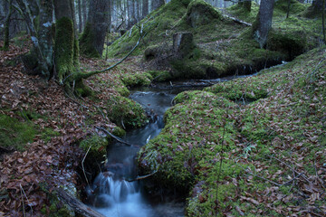 lunghe esposizioni lungo i torrenti in perido invernale con formazioni di ghiaccio, l'effetto seta che si crea lungo il corso d'acqua